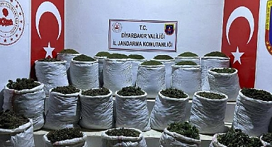 Diyarbakır’da 783 Kilo Esrar, 23 Bin Kök Hint Keneviri ve Skunk Bitkisi Ele Geçirildi