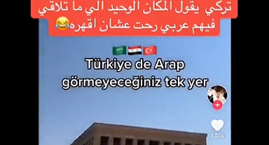 İnsan Müsveddesi Bir Arap, Büyük Atatürk'e Anıtkabir'de Hakaret Etti