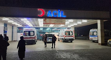 Ormandan Topladıkları Mantarı Yiyen 3'ü Çocuk 8 Kişi Zehirlendi