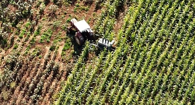 Şanlıurfa'da Kaçak Elektrik Kullanan Köylüler Görevlilere Saldırdı, Tarlaya Gömülen Kaçak Trafo İHA İle Tespit Edildi
