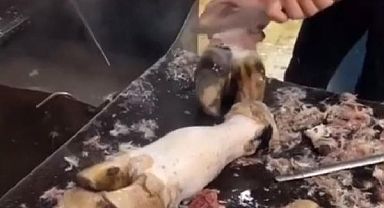 Adana'da Hijyenik Olmayan Sakatat Temizliği Yapılan İş Yeri Mühürlenerek Faaliyetten Men Edildi