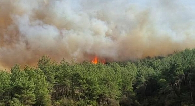 Çanakkale'de Orman Yangını
