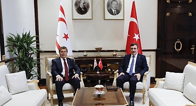 Cumhurbaşkanı Yardımcısı Yılmaz, KKTC Başbakanı Üstel ile Görüştü