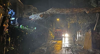 İstanbul'da Fırtına: İBB Ekipleri 2 Bin 921 İhbara Müdahale Etti