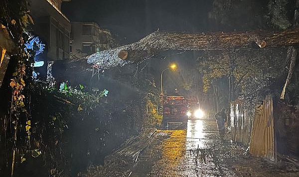 İstanbul'da Fırtına: İBB Ekipleri 2 Bin 921 İhbara Müdahale Etti