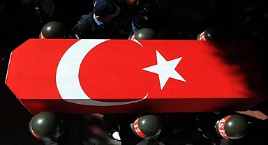 Van'da 1 Kahraman Türk Askeri Şehit Oldu