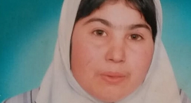 Annesini Öldüren Cani İfadesinde 'İçerisine Giren Cini Sehpayla Vurarak Çıkardım' Dedi