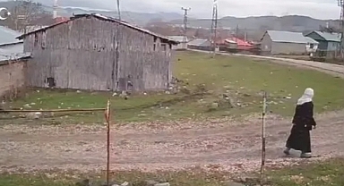 Muş'ta Yolda Yürüyen 73 Yaşındaki Kadına Başıboş Köpekler Saldırdı: Yaşlı Kadına Kuduz Teşhisi Konuldu