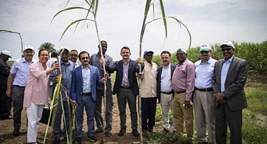 Türkiye'nin Sudan'da Tarım Yapma Hayali Sona Erdi