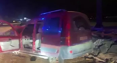 Amasya'da Yola Çıkan Başıboş Köpek Kazaya Neden Oldu: 2 Yaralı