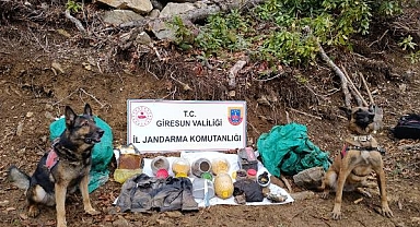 Giresun'da Kürtçü Terör Örgütü PKK'ya Ait Sığınak Bulundu