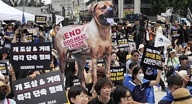 Güney Kore Köpek Eti Yenilmesini Yasakladı