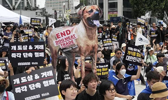 Güney Kore Köpek Eti Yenilmesini Yasakladı