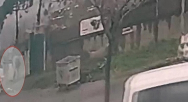 İstanbul'da Başıboş Köpeklerin Saldırısına Uğrayan Çocuk, Dikenli Tellerden Atlamaya Çalışırken Yaralandı