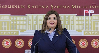 İYİ Partili Hamşıoğlu, Ege Akersoy İçin İki Soru Önergesi Hazırladığını Açıkladı