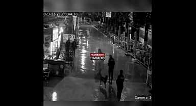 İzmir'de Ağızlıksız Pitbull Polise Doğru Hamle Yapınca Polis, Köpeği Vurdu