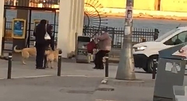 Kadıköy ve Başakşehir'de Başıboş Köpekler Sokakta Yürüyenlere saldırdı
