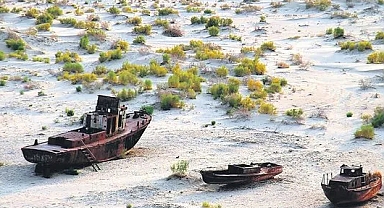 Kazakistan, Aral Gölü'nün Kuruyan Bölgelerine 1.1 Milyon Hektar Saksaul Ağacı Dikecek