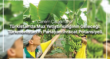 Türkistan’da Muz Yetiştiriciliğinin Geleceği: Türkmenistan'ın Parlayan İhracat Potansiyeli