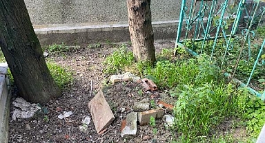 Üç Kardeşten 20 Yıl Sonra Gelen İtiraf: Babamız 15 Aylık Kardeşimizi Öldürüp Gömdü