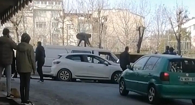 Yol Verme Tartışmasında Sürücüler Balyozlarla Birbirinin Aracına Saldırdı