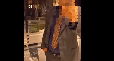 Aydın'daki Seven For Life Hotel'de Çalışan Gece Müdürü Kedileri Torbalara Koyup Katletti: Gece Müdürünün İşine Son Verildi