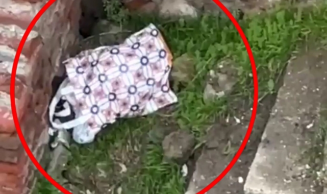 Diyarbakır'da Anne Yeni Doğmuş Bebeğini Poşet İçine Koyup Metruk Yapıya Bıraktı: Sesi Duyan Komşular Seferber Oldu