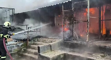 Diyarbakır'da Güvercin Otelinde Çıkan Yangında 300 Kuş Öldü