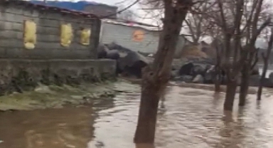 Diyarbakır'da Sağanak: Dere Taştı, Ev ve Ahırları Su Bastı 