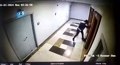 Eros İsimli Kediyi İşkence Ederek Öldüren İbrahim Keloğlan Hakkında Mahkeme Gerekçeli Kararı Açıkladı