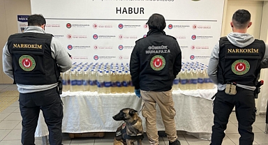 Habur Gümrük Kapısı'nda 345 Kilo Sıvı Metamfetamin Ele Geçirildi