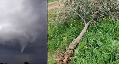 Hatay'da Çıkan Hortum Ağaçları Kökünden Söktü
