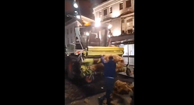 İrlanda 'İklim Değişikliği ile Mücadele' İçin 200 Bin İneği Telef Edecek: Çiftçiler Kararı Protesto Etti