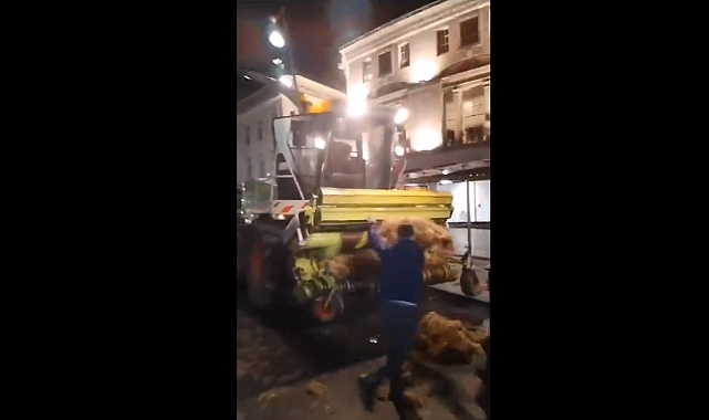 İrlanda 'İklim Değişikliği ile Mücadele' İçin 200 Bin İneği Telef Edecek: Çiftçiler Kararı Protesto Etti