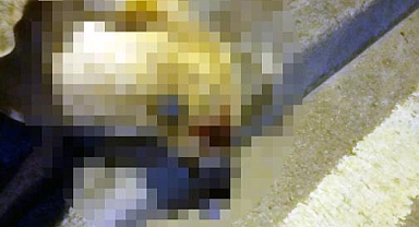 Kocaeli'de Oğlunu Isıran Sokak Köpeğini Tüfekle Öldüren Babaya Ceza Verilmedi: Mahkeme Önünde Toplanan Grup Karara Tepki Gösterdi