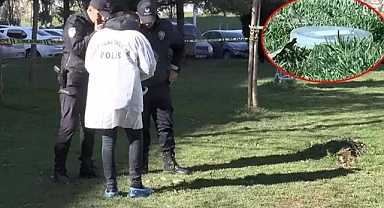 Sultangazi'de Hastane Karşısındaki Parkta Cenin Bulundu: İncelenmek Üzerine Adli Tıp Kurumu'na Götürüldü