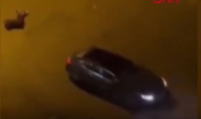 Batman'da Bir Şahıs, Dini Nikahlı Olduğu Kadını ve Birlikte Gördüğü Erkeği Sokak Ortasında Öldürdü