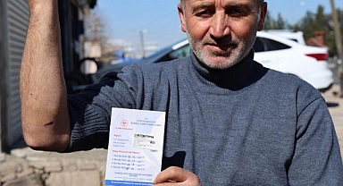Diyarbakır'da Başıboş Köpekler Bir Günde 8 Kişiyi Isırdı