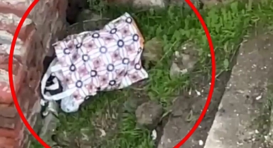 Diyarbakır'da Yeni Doğan Bebeğini Poşet İçerisinde Metruk Eve Bırakan Anneye 20 Yıl Hapis İstemi