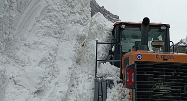 Hakkari'de Kar Küreme Çalışmasında Çığ Düştü, İş Makinesi Operatörü Son Anda Kurtuldu