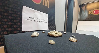 Kayseri'de 10 Milyon Yıllık Miyosen Fosil Ele Geçirildi: 1 Gözaltı