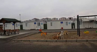 Malatya'da Konteyner Kentte 7 Yaşındaki Kız Çocuğunu İstismar Eden Abuzer Can İsimli Sapık, Tutuklandı
