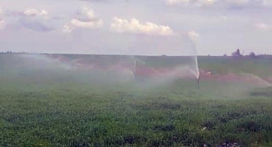 Mardin'de Yağmur Yağarken Tarlasını Kaçak Elektrikle Sulayan Çiftçi Hakkında İşlem Başlatıldı: Tarlanın Hazine Arazisi Olduğu Öğrenildi