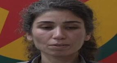 MİT, PKK/KCK'nın 'Sözde Sorumlu' Teröristini Etkisiz Hale Getirdi