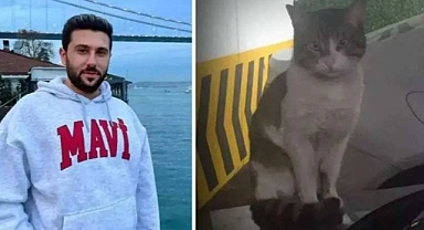 Savcı Cezayı Az Buldu: Kedi Eros'u Öldüren İbrahim Keloğlan Hakkındaki Karara İtiraz Edildi