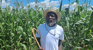 Zimbabve'de Sahte Peygambere Baskın Düzenlendi: Operasyonda 251 Çocuk Kurtarıldı, 16 İsimsiz Mezar Bulundu 
