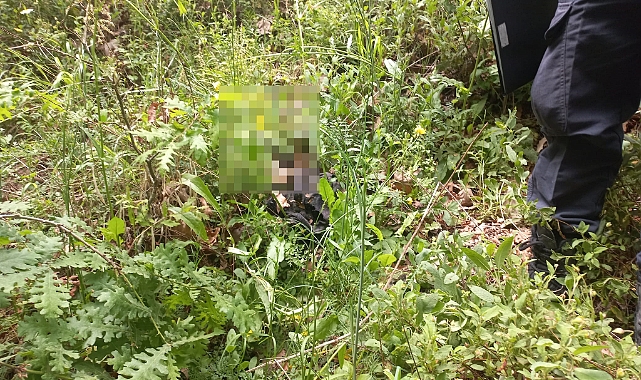 312 Gündür Kayıp Olan Ekonomist Korhan Berzeg'in Kimlik ve Kredi Kartı ile Kemik Parçaları Bulundu - Haberler - TamgaTürk