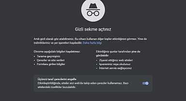 Google, Gizli Sekmedeki Kayıtları Silmeyi Kabul Etti