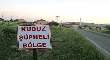 Hatay'da Büyükbaş Hayvanlara Saldıran Başıboş Köpeğe Kuduz Teşhisi Konuldu: 2 Mahalle Karantinaya Alındı