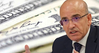 Hazine ve Maliye Bakanı Mehmet Şimşek'ten Mülk Sahiplerine Beyanname Uyarısı